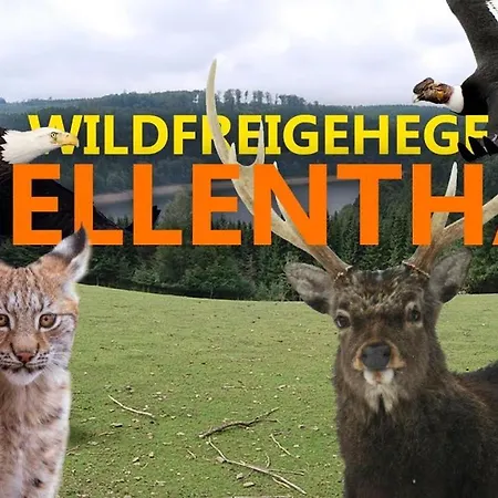 Holiday home Hescheld With Private Jacuzzi Hellenthal