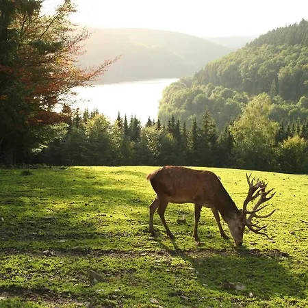 Hescheld With Private Jacuzzi Holiday home Hellenthal