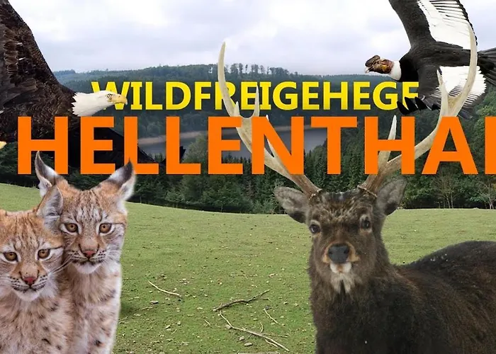 بيت للعطل Hescheld With Private Jacuzzi هيلينثال