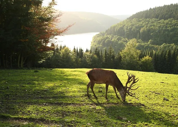 Hescheld With Private Jacuzzi بيت للعطل هيلينثال